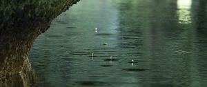 Preview wallpaper river, rain, water, drops, stone, macro