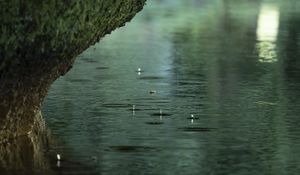 Preview wallpaper river, rain, water, drops, stone, macro
