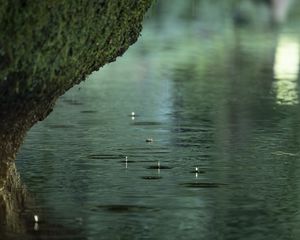 Preview wallpaper river, rain, water, drops, stone, macro