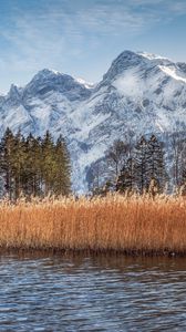 Preview wallpaper river, reeds, grass, mountains, landscape