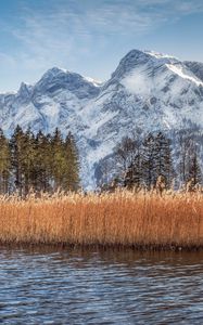 Preview wallpaper river, reeds, grass, mountains, landscape