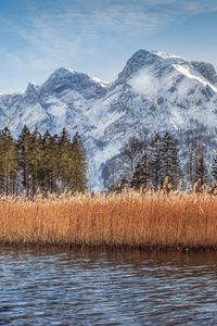 Preview wallpaper river, reeds, grass, mountains, landscape