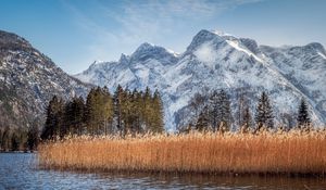 Preview wallpaper river, reeds, grass, mountains, landscape