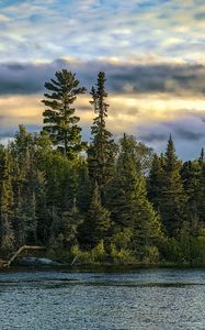 Preview wallpaper river, ripples, forest, nature, trees