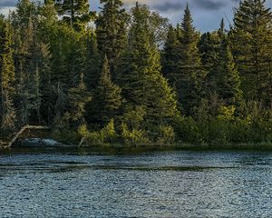 Preview wallpaper river, ripples, forest, nature, trees