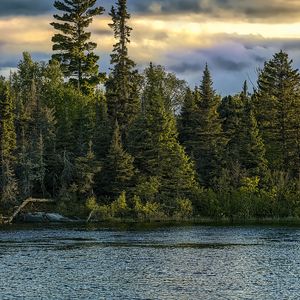 Preview wallpaper river, ripples, forest, nature, trees