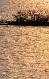 Preview wallpaper river, rippling, flowing, grass