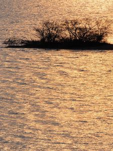 Preview wallpaper river, rippling, flowing, grass