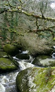 Preview wallpaper river, rocks, flowing, forest, nature