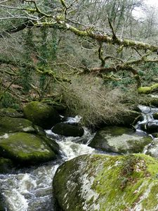 Preview wallpaper river, rocks, flowing, forest, nature