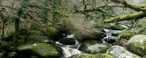 Preview wallpaper river, rocks, flowing, forest, nature