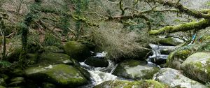 Preview wallpaper river, rocks, flowing, forest, nature