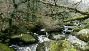 Preview wallpaper river, rocks, flowing, forest, nature