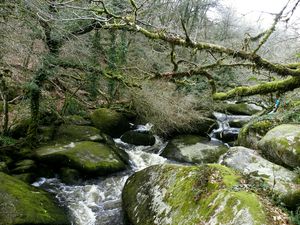 Preview wallpaper river, rocks, flowing, forest, nature