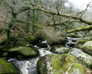 Preview wallpaper river, rocks, flowing, forest, nature