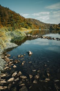 Preview wallpaper river, rocks, forest, nature, landscape