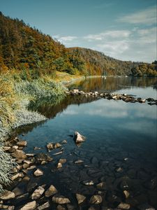 Preview wallpaper river, rocks, forest, nature, landscape