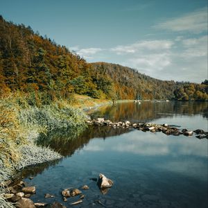 Preview wallpaper river, rocks, forest, nature, landscape