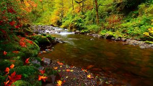 Preview wallpaper river, rocks, leaves, autumn