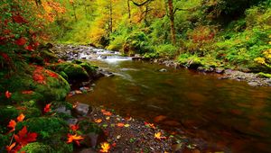 Preview wallpaper river, rocks, leaves, autumn