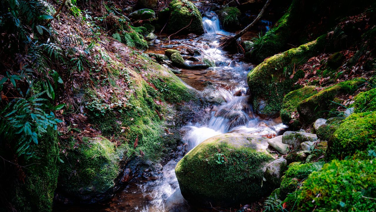 Wallpaper river, rocks, moss, grass, nature