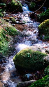 Preview wallpaper river, rocks, moss, grass, nature