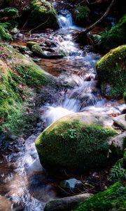 Preview wallpaper river, rocks, moss, grass, nature