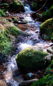 Preview wallpaper river, rocks, moss, grass, nature
