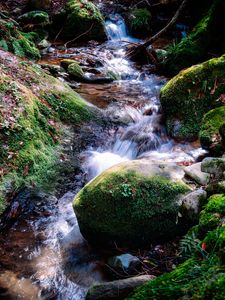Preview wallpaper river, rocks, moss, grass, nature
