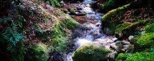 Preview wallpaper river, rocks, moss, grass, nature