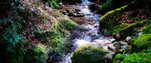 Preview wallpaper river, rocks, moss, grass, nature