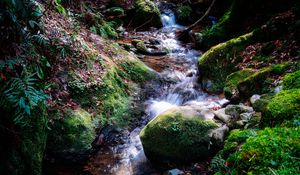 Preview wallpaper river, rocks, moss, grass, nature