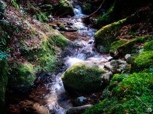 Preview wallpaper river, rocks, moss, grass, nature