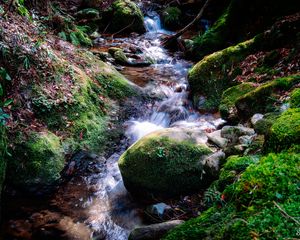 Preview wallpaper river, rocks, moss, grass, nature
