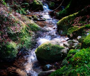 Preview wallpaper river, rocks, moss, grass, nature