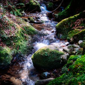 Preview wallpaper river, rocks, moss, grass, nature