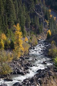 Preview wallpaper river, rocks, mountain, landscape, nature