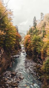 Preview wallpaper river, rocks, stream, stones, trees
