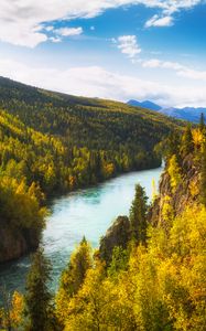 Preview wallpaper river, rocks, trees, forest, autumn, valley