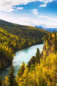 Preview wallpaper river, rocks, trees, forest, autumn, valley