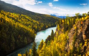 Preview wallpaper river, rocks, trees, forest, autumn, valley