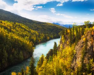 Preview wallpaper river, rocks, trees, forest, autumn, valley