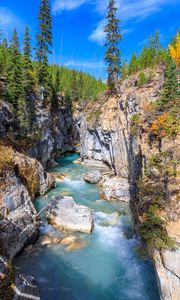 Preview wallpaper river, rocks, trees, canyon, landscape, nature