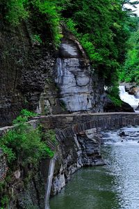 Preview wallpaper river, rocks, trees, bridges, steps, landscape