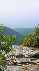 Preview wallpaper river, rocks, trees, landscape, summer