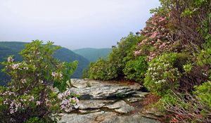 Preview wallpaper river, rocks, trees, landscape, summer