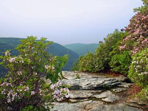 Preview wallpaper river, rocks, trees, landscape, summer