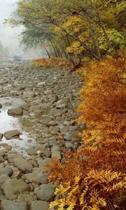 Preview wallpaper river, rocks, water, autumn