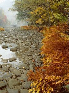 Preview wallpaper river, rocks, water, autumn