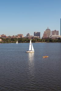 Preview wallpaper river, sail, boat, trees, buildings, city